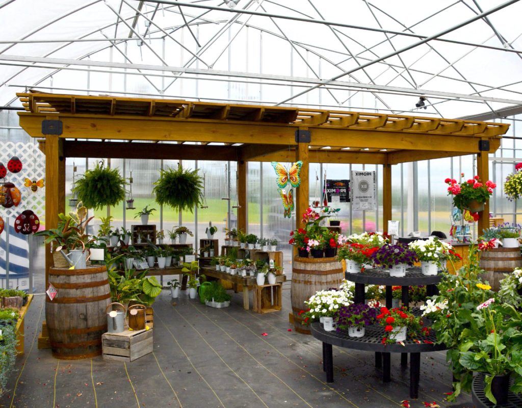 Hollander wood pergola 10x20